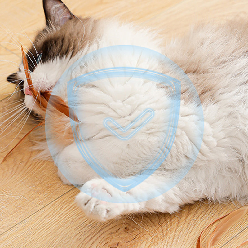 Boule rebondissante interactive avec plume pour chat — le jouet félin ultime, édition 2025 en promotion