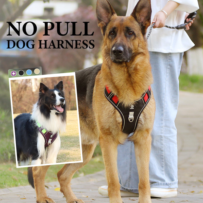 📢📢54 % DE RÉDUCTION !! ⏰Harnais anti-traction pour chien avec laisse et collier à LED