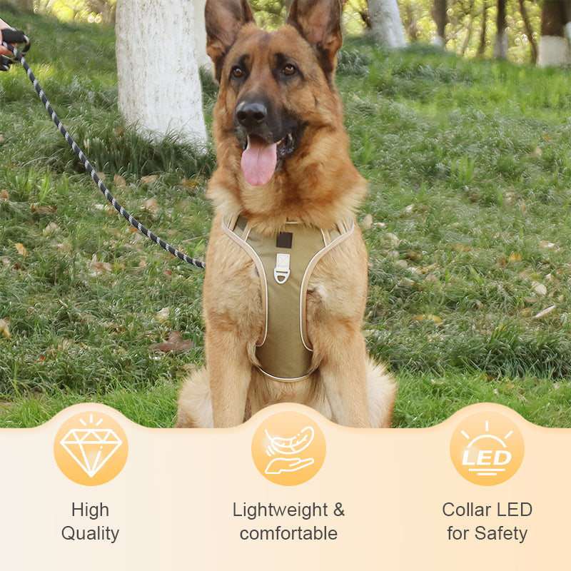 📢📢54 % DE RÉDUCTION !! ⏰Harnais anti-traction pour chien avec laisse et collier à LED