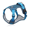 📢📢54 % DE RÉDUCTION !! ⏰Harnais anti-traction pour chien avec laisse et collier à LED
